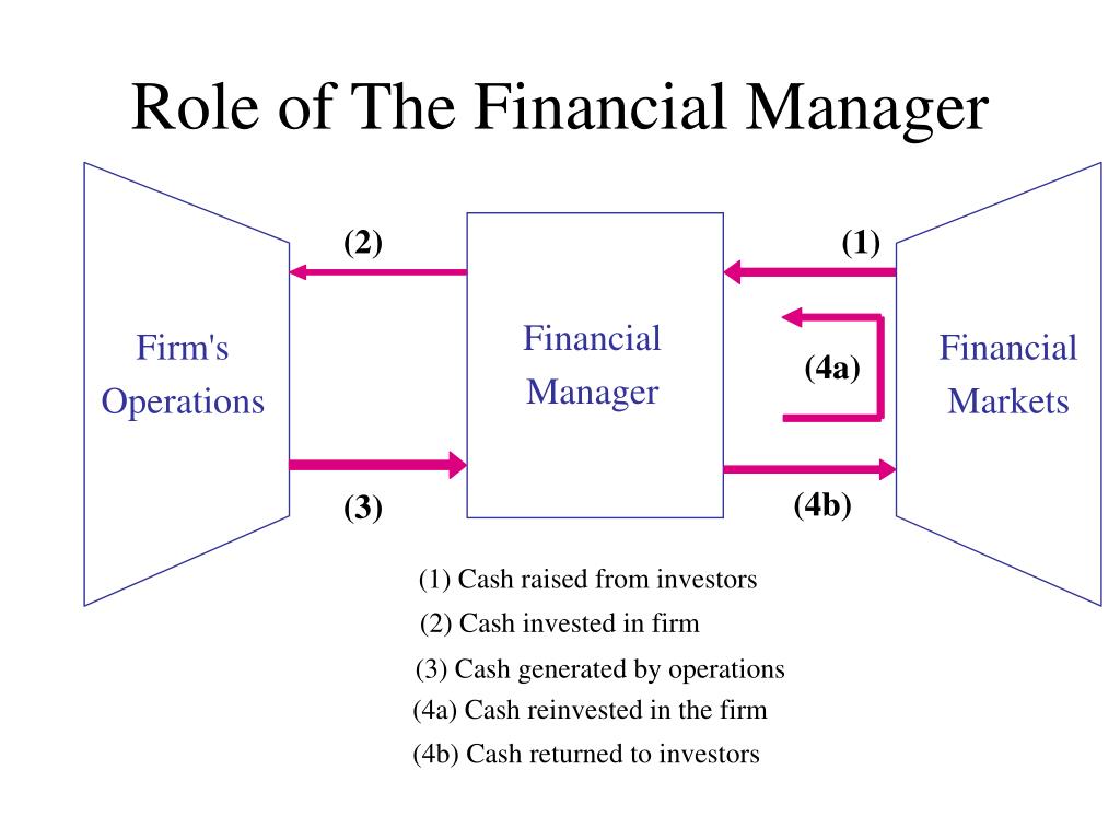 Ppt What Does A Financial Manager Powerpoint Presentation Free