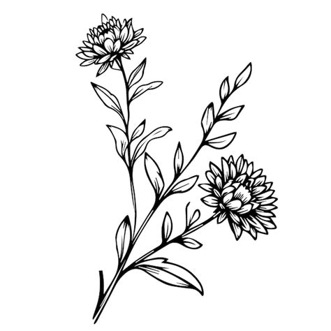 Premium Vector Small September Birth Flower Tattoo Family Birth Flower Tattoos Shoulder Family Birth Flower Tatto