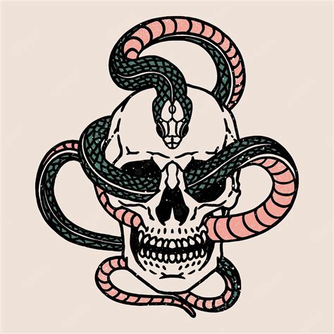 Premium Vector Vintage Skull With Snake Isolated Vector Illustration