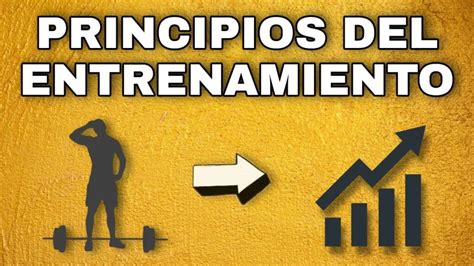 Principios Del Entrenamiento De Personal