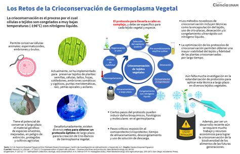 Pruebas Y Pr Cticas Hojas Dispersas Ph B Sico