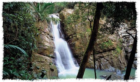 R O Grande Puerto Rico Ciudad Del Yunque