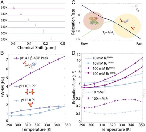 Researchers Uncover Evidence Of Hidden State Involving Common Ion