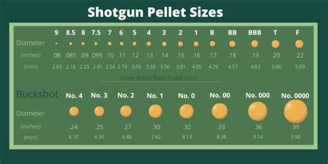 Rifle Shell Size Chart The Ultimate Guide To Shotgun Pellet