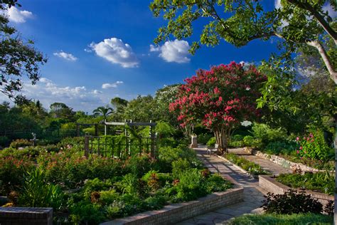 San Antonio Botanical Garden Photos