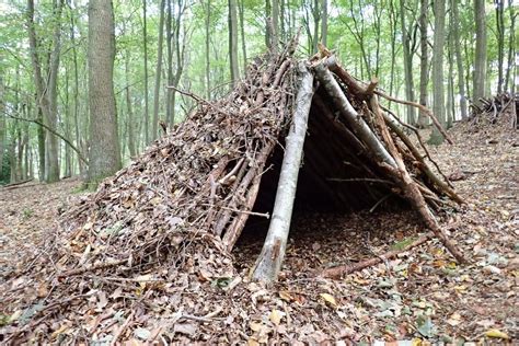 Shelter Construction