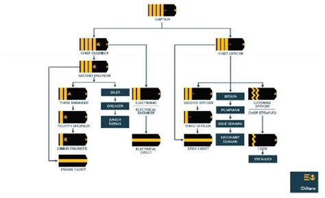 Ship Hierarchy And Ship Crew Roles 4 Download Scientific Diagram