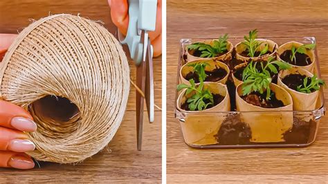 Show Off Your Green Thumb 7 Useful Upcycling Ideas Plant Care Tips