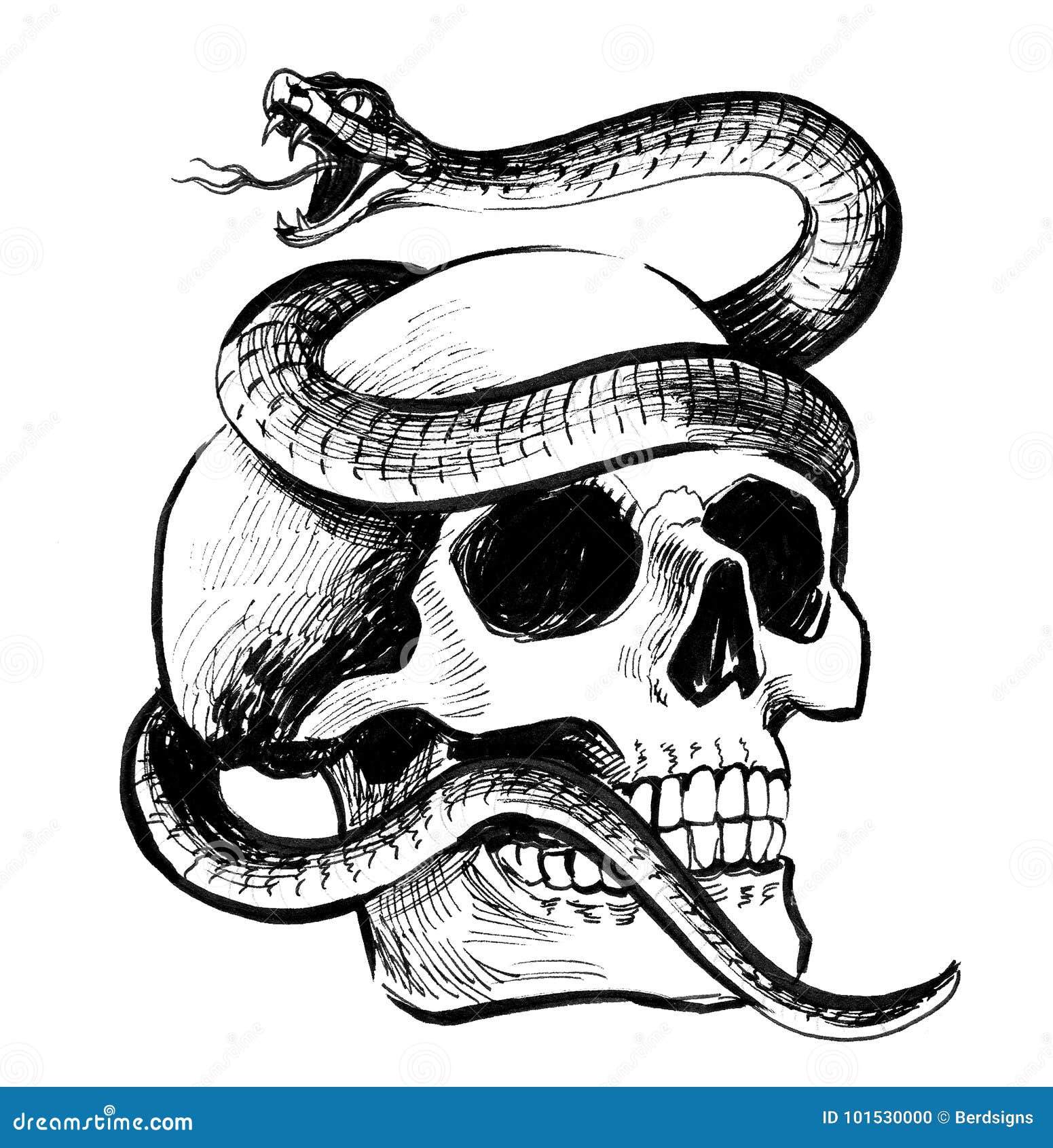 Skull With Snake Cartoon Vector Cartoondealer Com 57889455