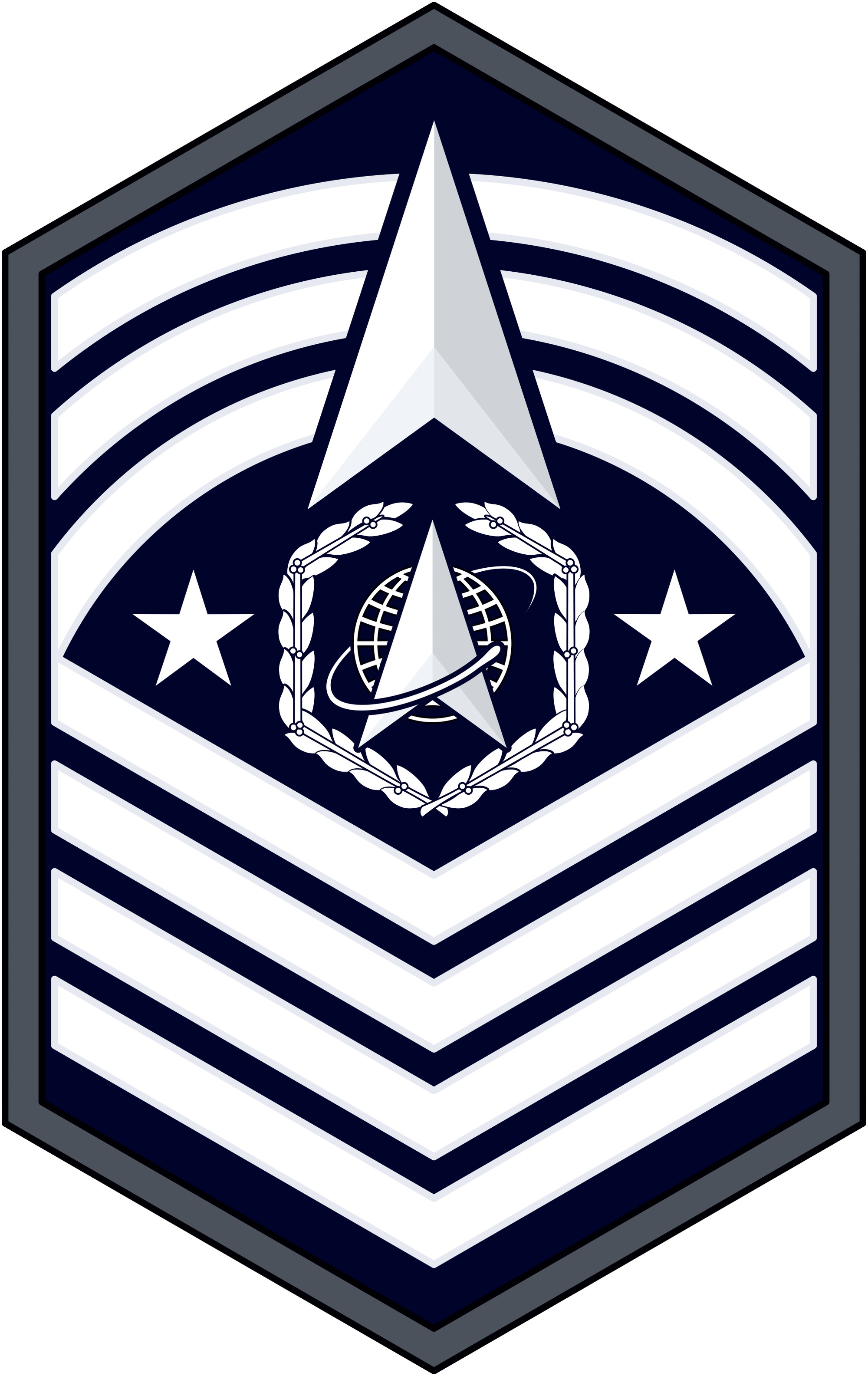 Space Force Enlisted Ranks Vuegast