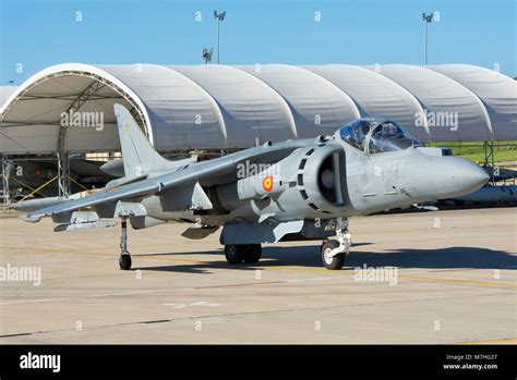 Spanish Navy Av 8B Harrier At Rota Naval Air Station Spain Poster