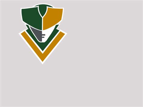 Stevenson Brand Identity Mascot By Liz Benedetto On Dribbble