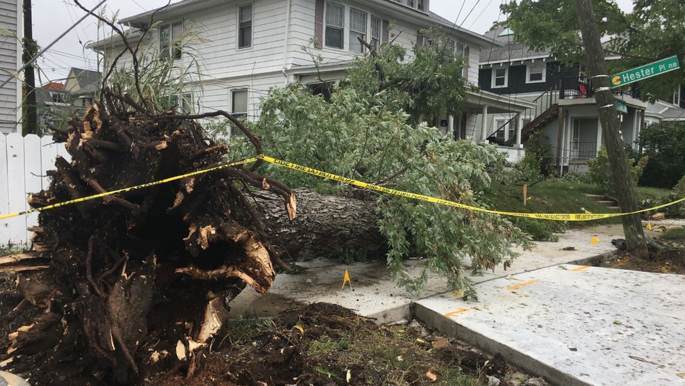 Straight Line Winds Blamed For Storm Damage In Ewing Township New