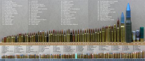 Tabela De Calibre De Espingardas Braincp