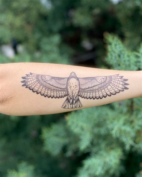 Tattoo Designs Hawk