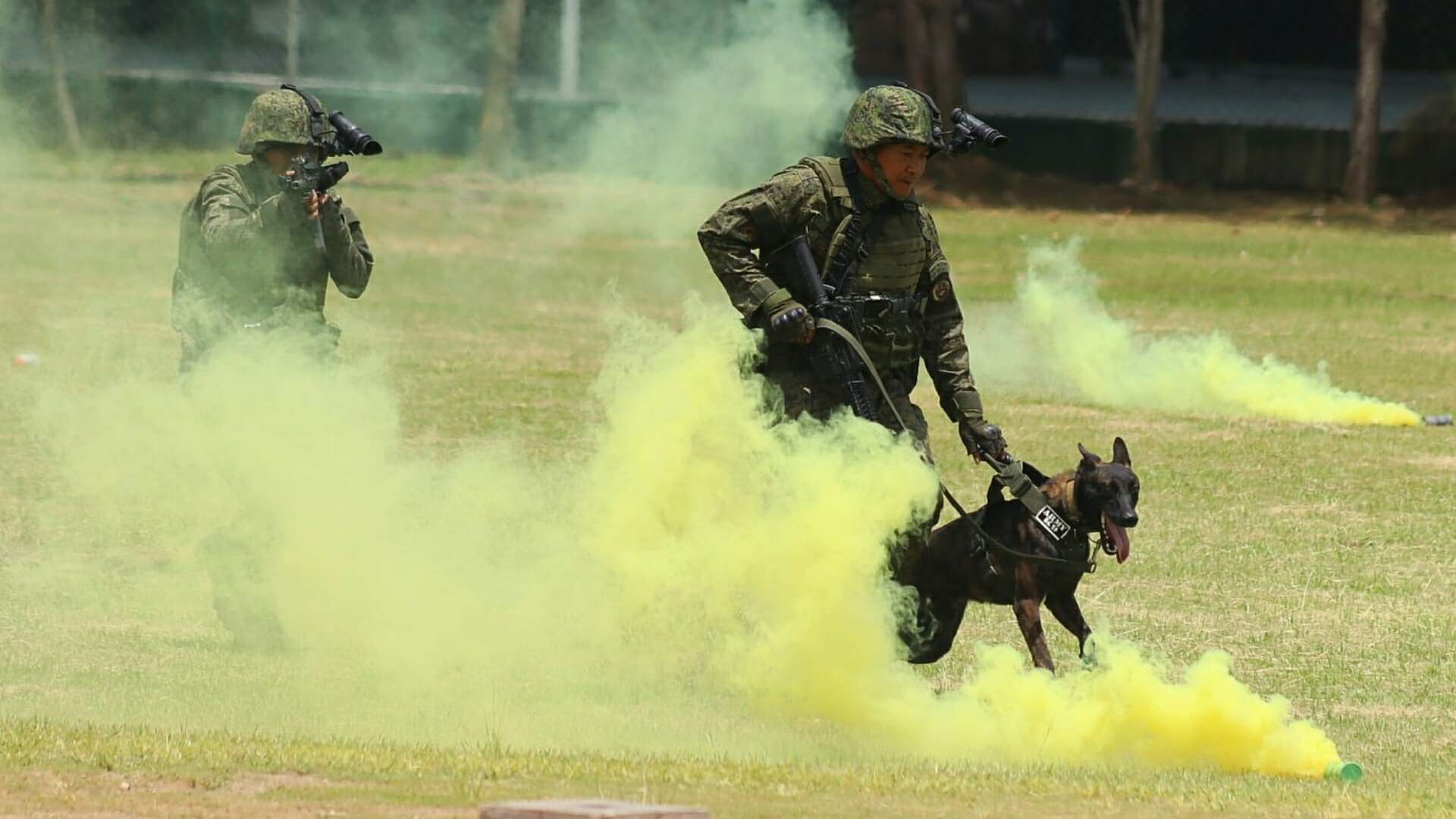 The Army K9 Unit In The Army