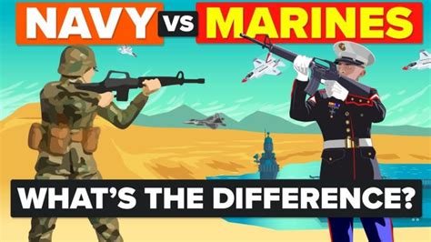 The Navy Vs Marine: Ultimate Military Branch Comparison