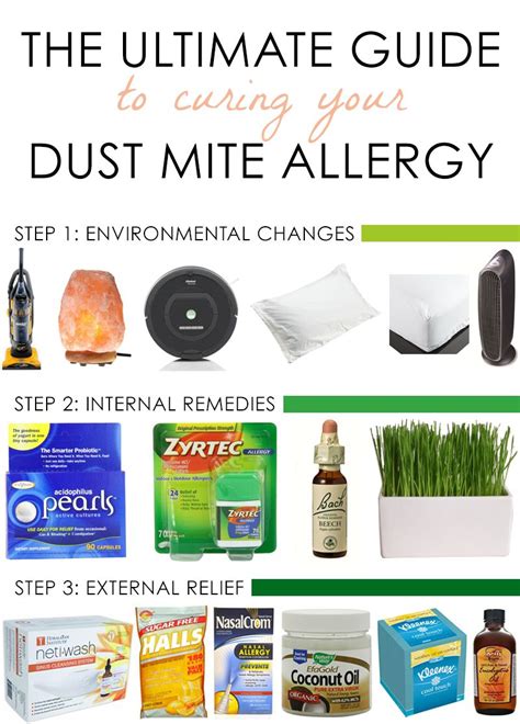 The Ultimate Guide To Curing Your Dust Mite Allergy Estate Made