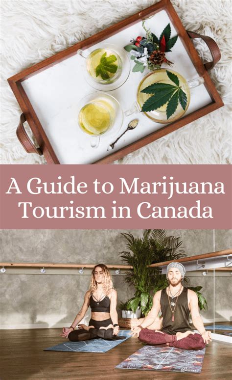 The Ultimate Guide To Going Weed Vacation Canada