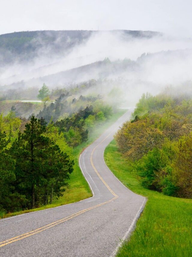 This Is The Most Iconic Road Trip In Your State Mediafeed