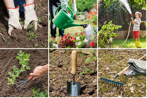 Top Essential Gardening Tools Every Beginner Needs Lush Dew