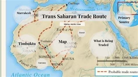 Trans Saharan Trade Route