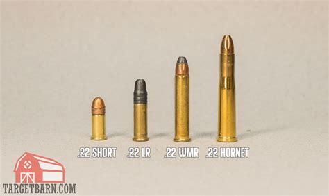 Types Of 22Lr Ammo Types Of