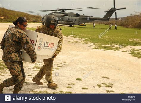 U S Marine Sgt Elena Moreno A Heavy Equipment Operator With Marine