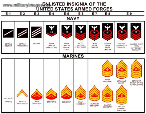 U S Navy Ranks Enlisted Military And Veteran Benefits