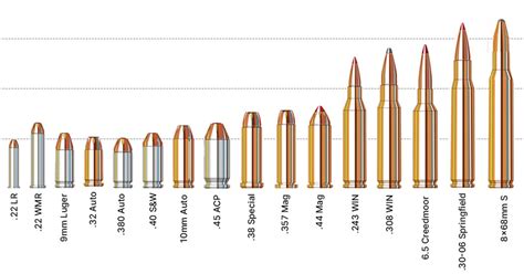 Ultimate Guide: Perfect 50 Calibre Bullet Size