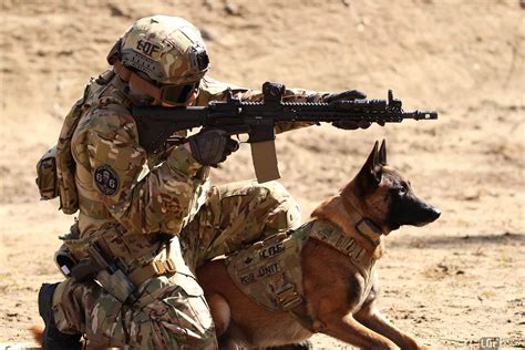 Us Army Canine Unit