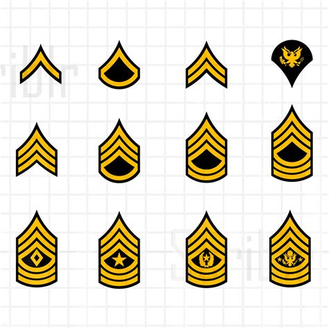 Us Army Enlisted Rank Insignia - Data science