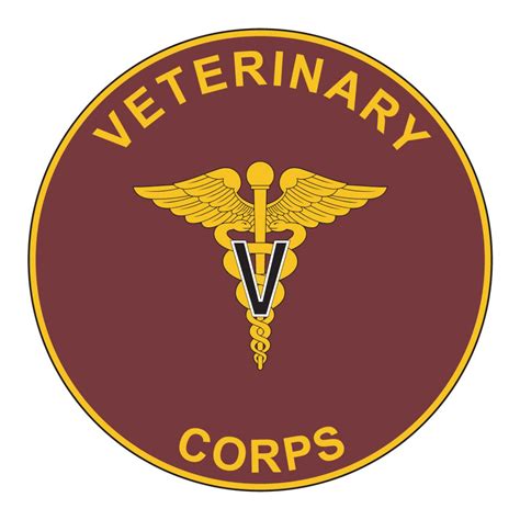 Us Army Vet Corps