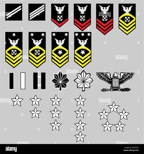 Us Navy Rank Insignia Stock Vector Image Art Alamy