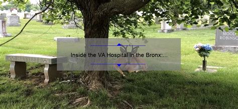 Va Hospital Bronx, Ny: A Comprehensive Guide To Veterans' Healthcare