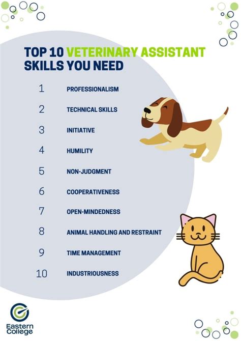 Veterinarian Job Description Salary Skills More Veterinarian