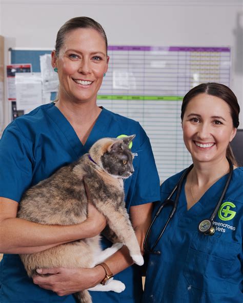 Veterinary Jobs In Australia Vet Careers At Greencross Vets