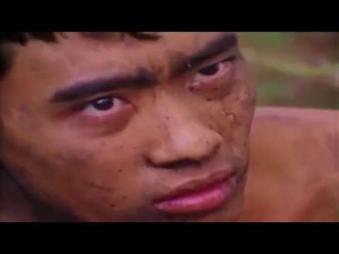 Vietminh Nva Vietcong Arvn Youtube