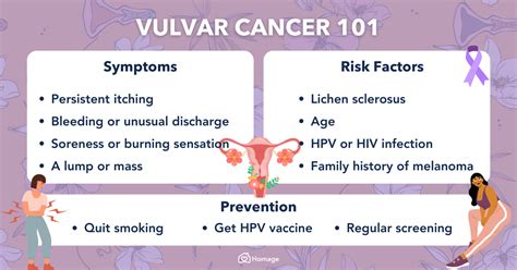 Vulvar Cancer Causes Symptoms Staging Prevention Treatment