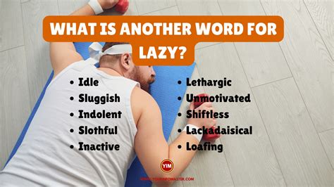 What Is Another Word For Lazy Sentences Antonyms And Synonyms For Lazy Your Info Master