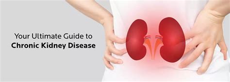 Your Ultimate Guide To Chronic Kidney Disease Rbh